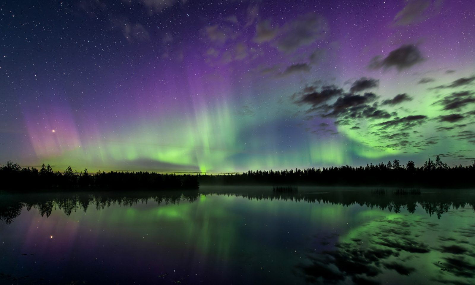 Näyttävät revontulet heijastuvat tyynen lammen pintaan. Lampea reunustaa metsän tumma silhuetti.